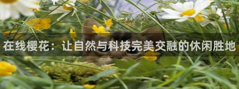 午夜影院最新电影