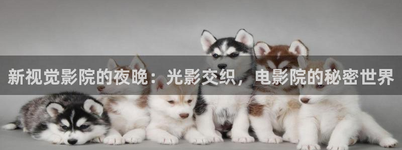 台湾电影星空