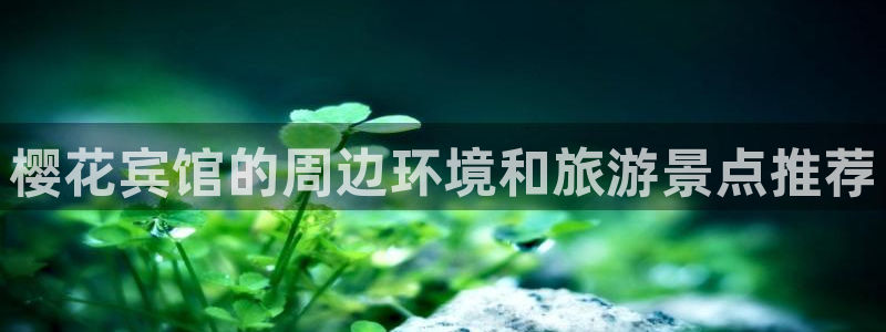 星空无痕mv高清在线观看免费播放