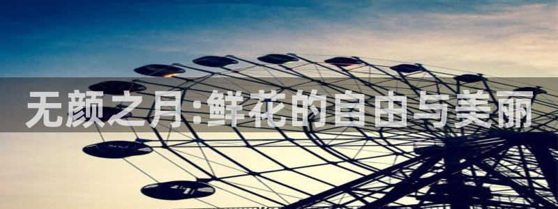 星空影视无限传媒