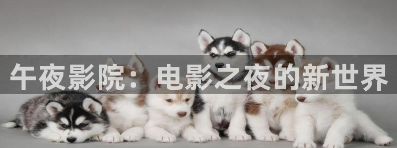 午夜影院在线观看免费观看电视剧最新