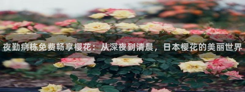 午夜影院免费观看电影2023年上映