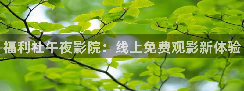 星空电影 网
