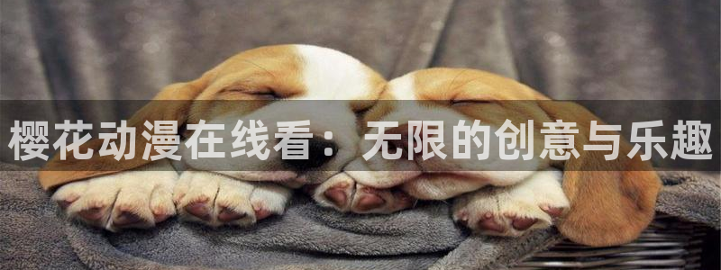午夜影院免费观看电视剧电影大全最