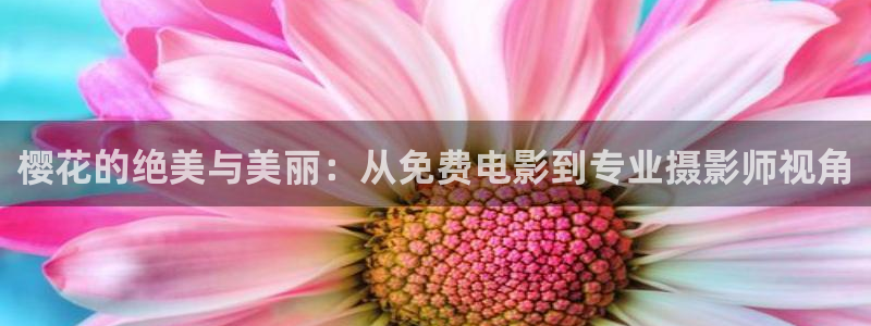 午夜影院免费看电影方法
