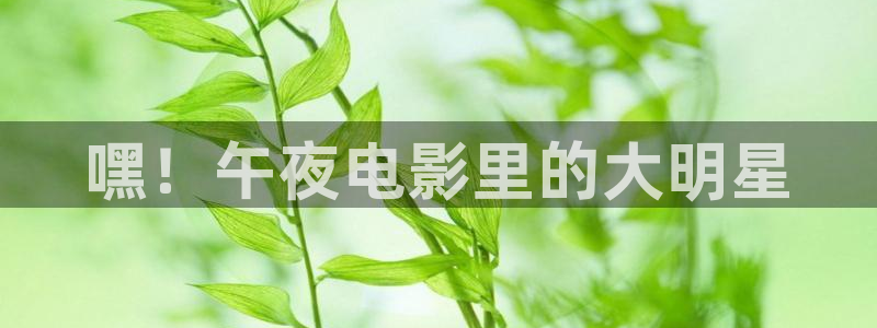 星空书