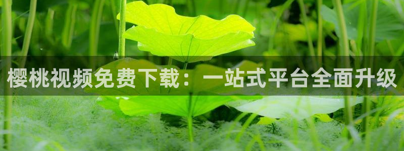 午夜影院在线观看全集