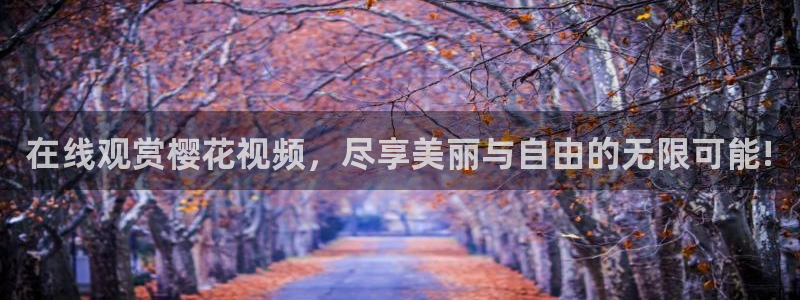 星空天美mv影视