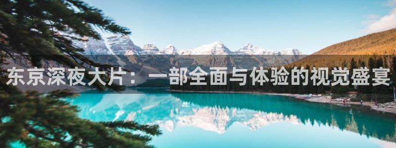 午夜影院免费观看高清
