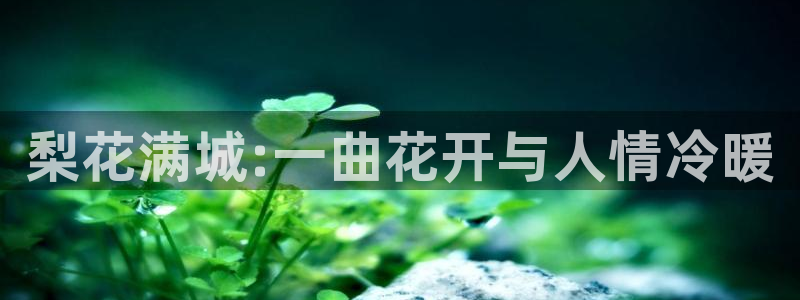 星空影视免费下载