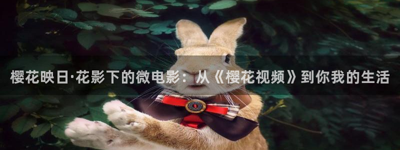 午夜影院免费观看电视剧软件