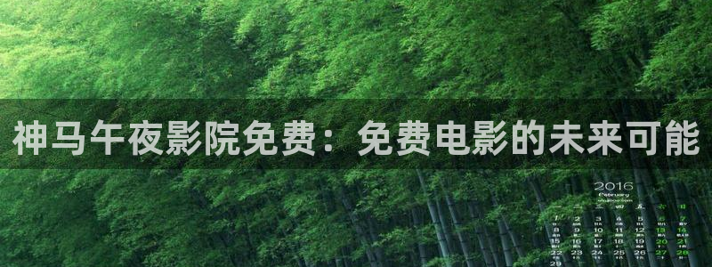 星空视频播放器