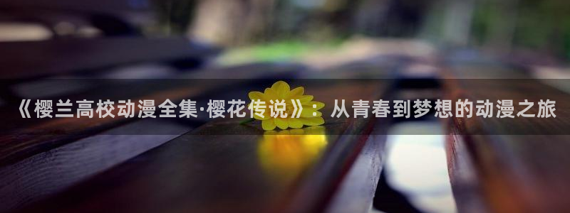 那片星空那片海电视剧在线观看