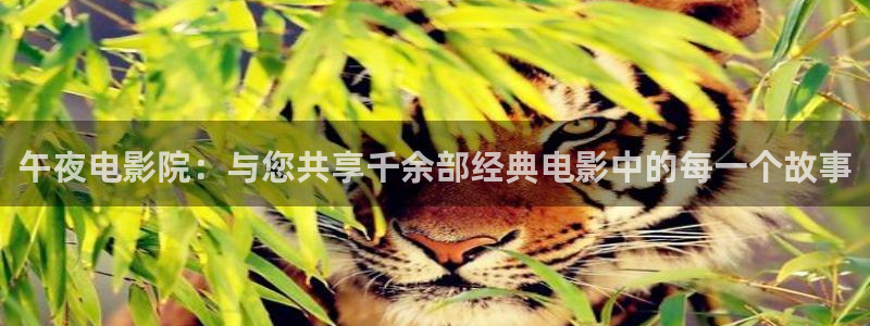 星空影视 下载