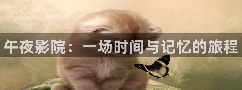 星空视频免费观看电影大全