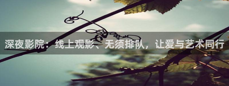 星空顶 影音室
