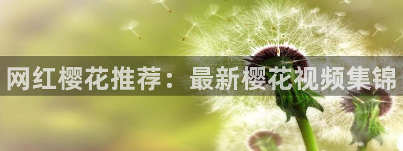 星空音乐下载